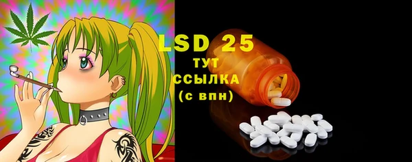 PSILOCYBIN Вязьма