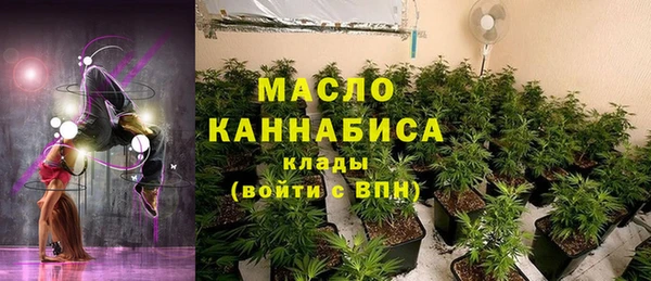 МДПВ Вяземский