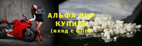 PSILOCYBIN Вязьма