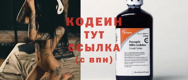МДПВ Вяземский