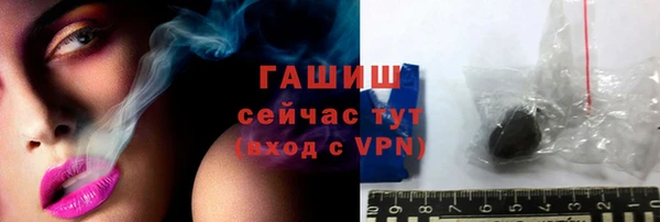 МДПВ Вяземский
