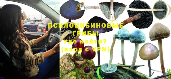 PSILOCYBIN Вязьма